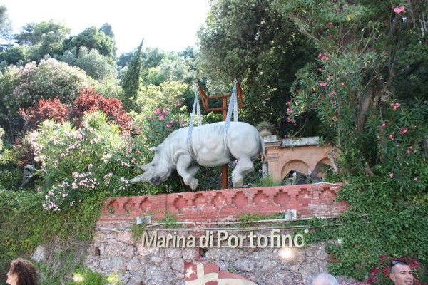 Анастасия Фролова