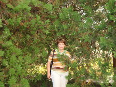 Галина Гареева