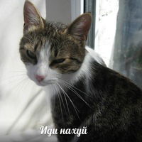 Виталий Терентьев