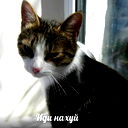 Виталий Терентьев