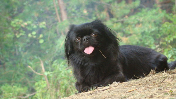 Татьяна Галиакбарова