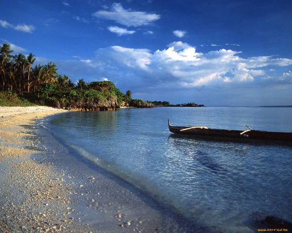 Комитет По Охране Окружающей Среды