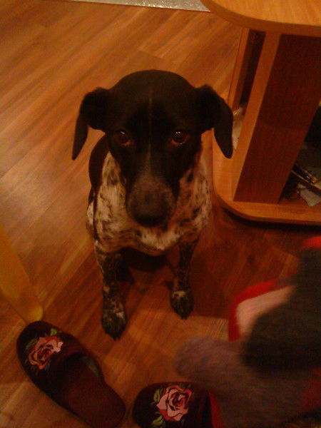 Ли-Душка Ли