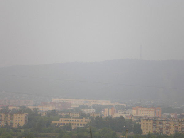 Светлана Васильева