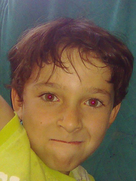 Виктор Максудов