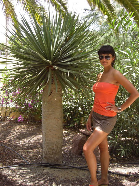 Светлана Гергерт