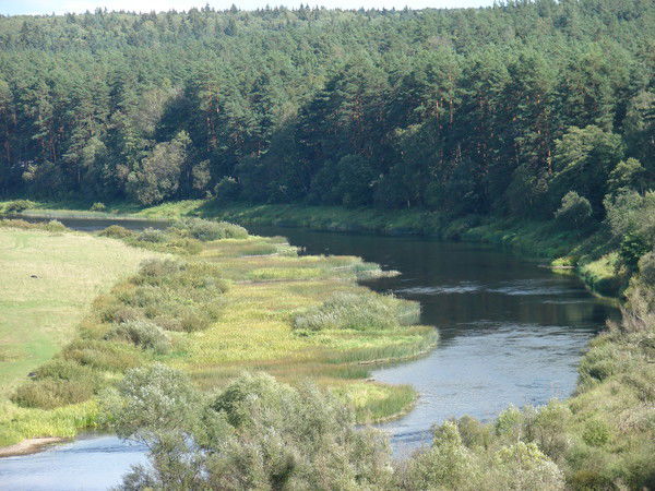 Виктор Михеев