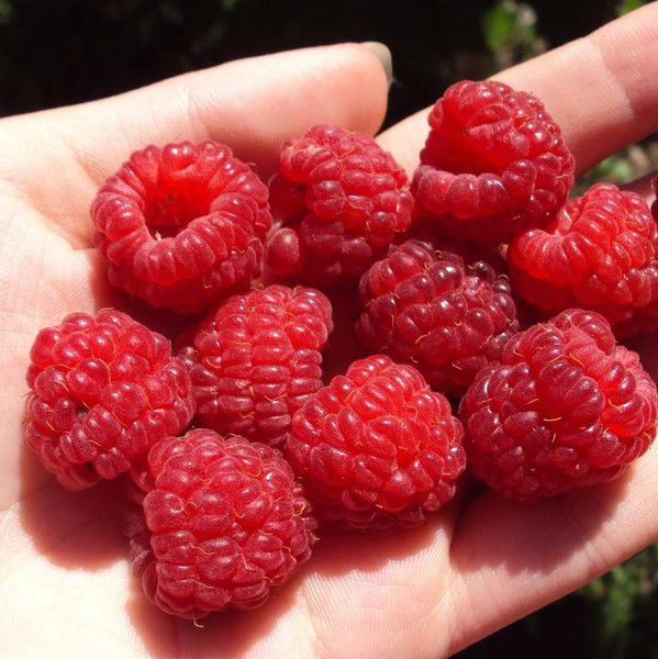 Нина Карасенко