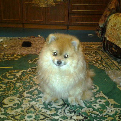 Владислав Костюков