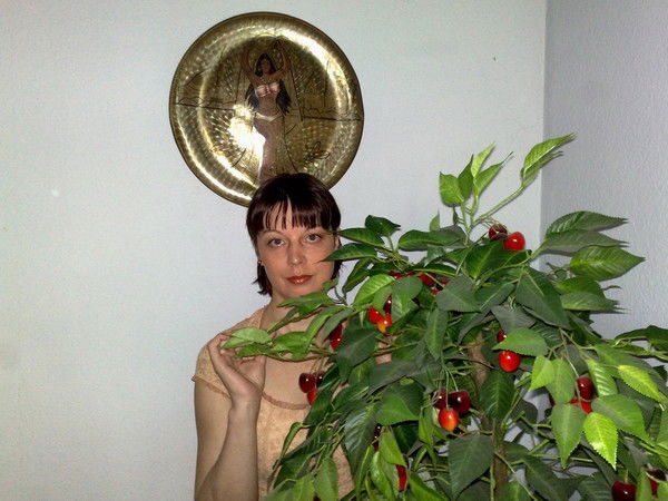 Елена Василисео