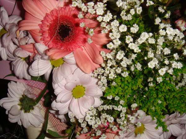 Эмма Жулина