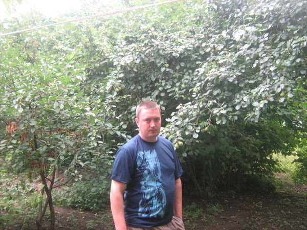 Алексей Лупинин