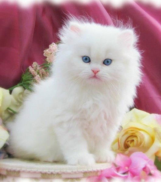 Наталия Попова