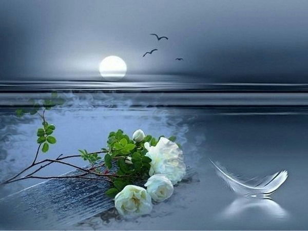 Зарина Галиева