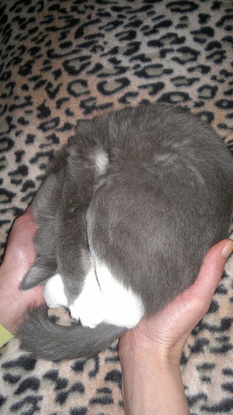 Ольга Кондачкова