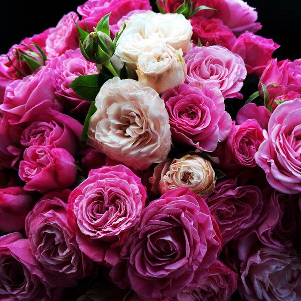 Алёна Дубских