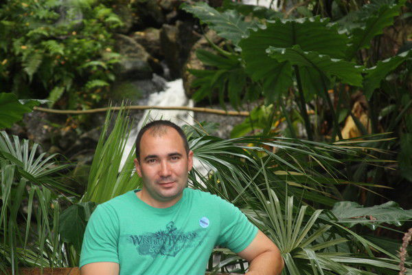 Денис Ворник