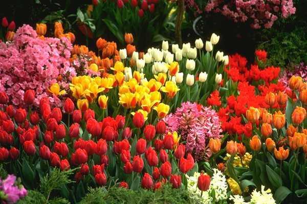 Гулнар Битебекова