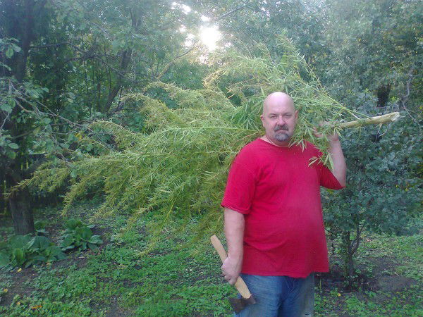 Александр Кожников