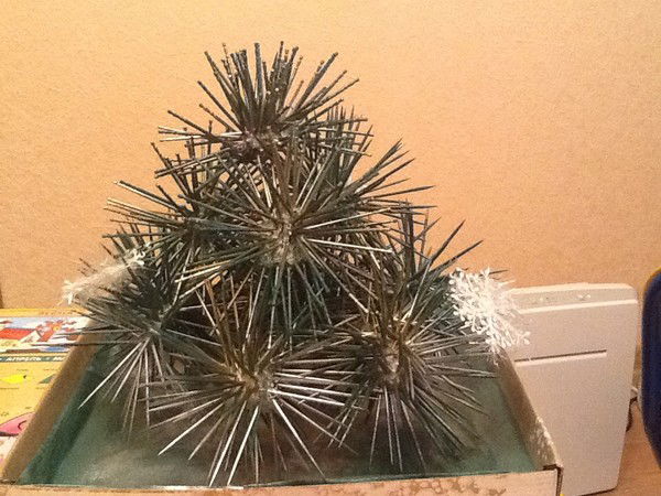 Оксана Степашкина