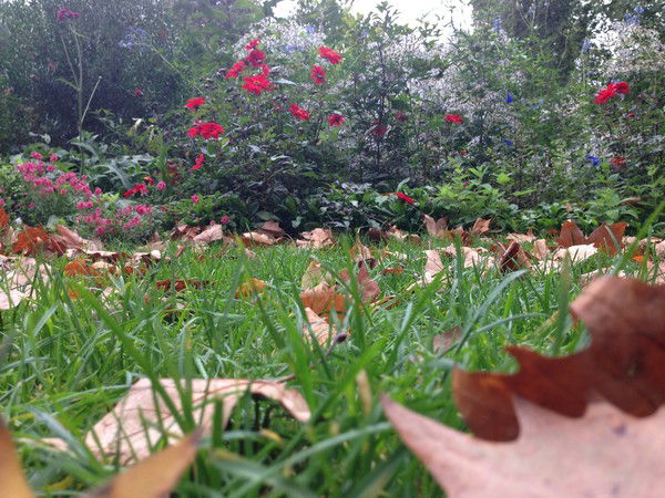 Бектурган Карин