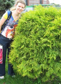 Елизавета Кузубова