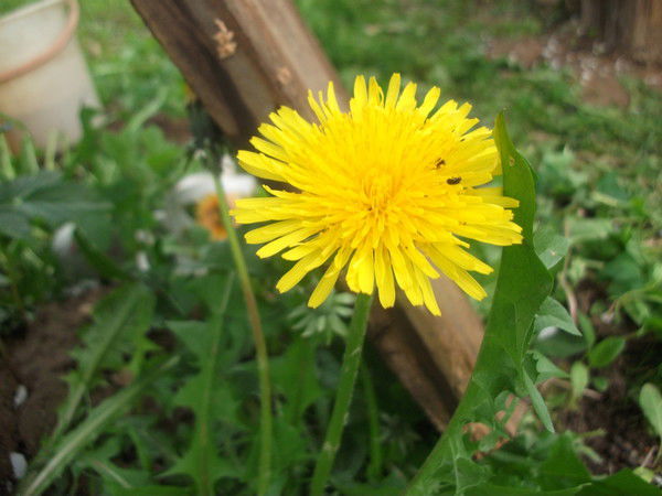 Марина Казакова