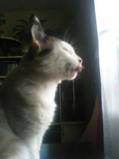 Даниил Иванов