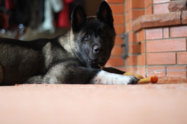 Сергей__ Николайчук__