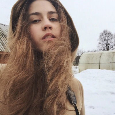 বিড়াল মটর