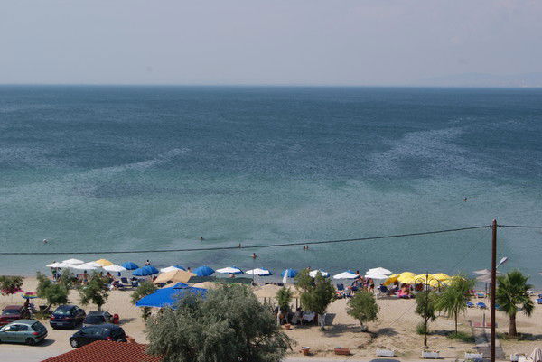 Светлана Жукова