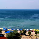 Светлана Жукова