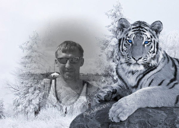 Андрей Гагилев