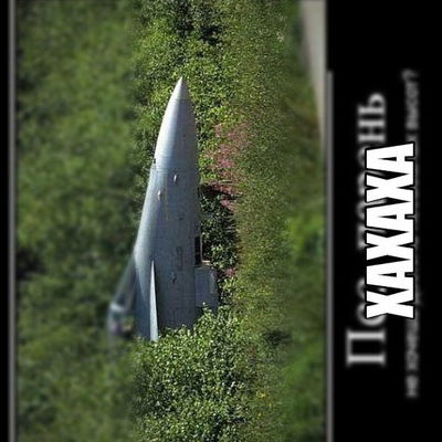 Алексей Рзаев