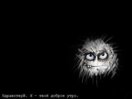 Карина Шебанец