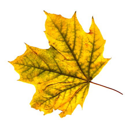 Дарья *********