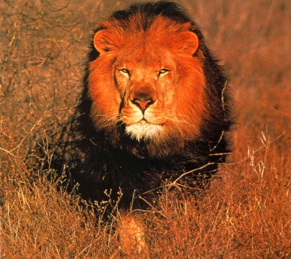 Александр Прошунин