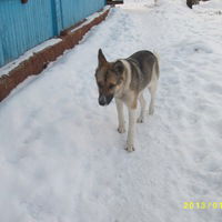 Татьяна Молоткова