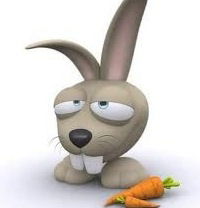 Софья Бодрова