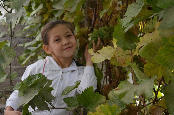 Аянат Байсакова