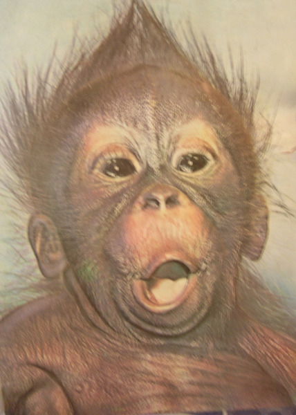 Іван Велеган