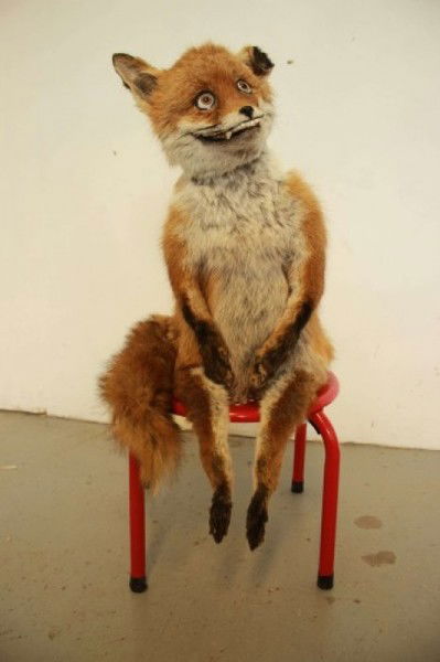 Упоротый Лис