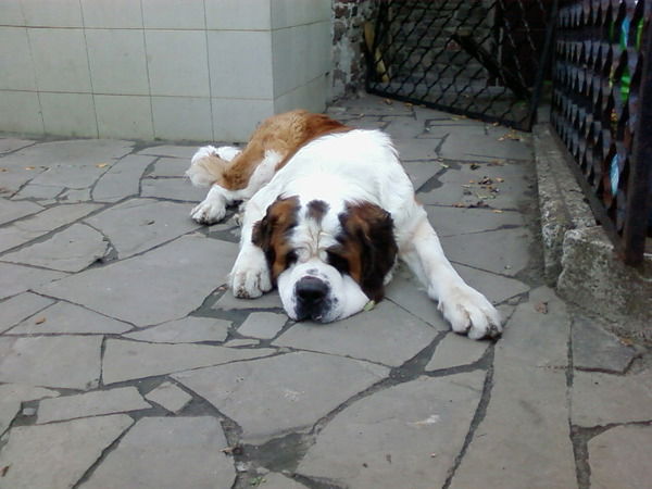 Игорь Блинков