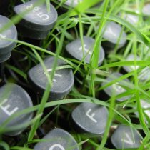 Оля Зольникова