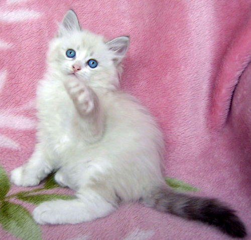 Гуля Хисамова