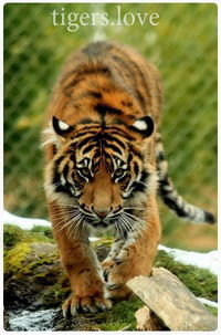 Сергей Сидоренко