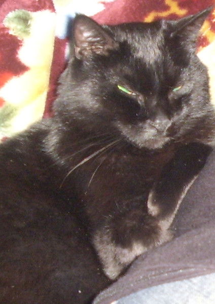 Евгений Круш