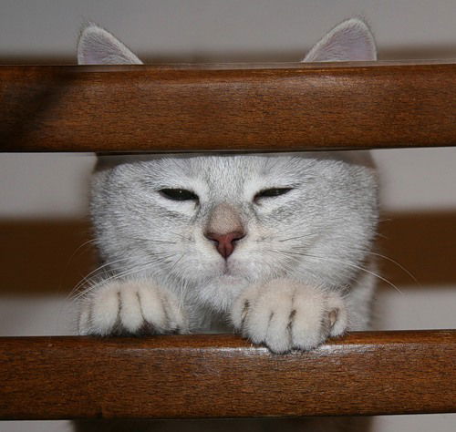 Сергей Лемешко