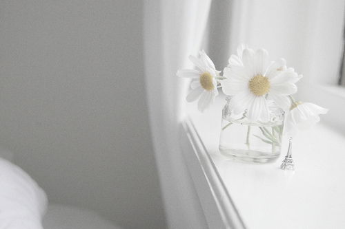 Братьям И Парням Не Беспокоить!