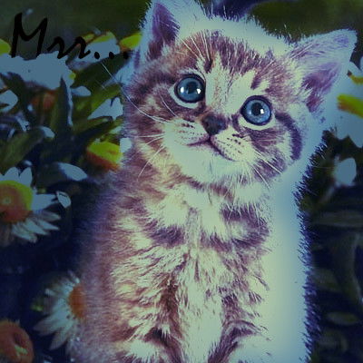 «Âñdþ∑» Апраксин